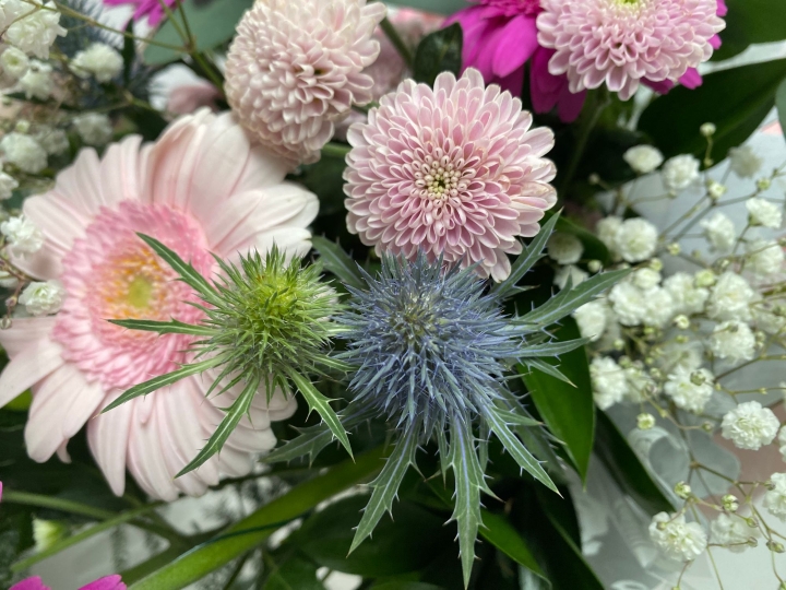 BLOOMS OF JOY FLOWER ARRANGING CLASSES BRING BEAUTY AND HAPPINESS TO CARE HOME RESIDENTS