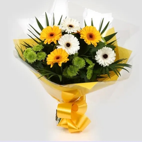 Yellow & White Gerbera