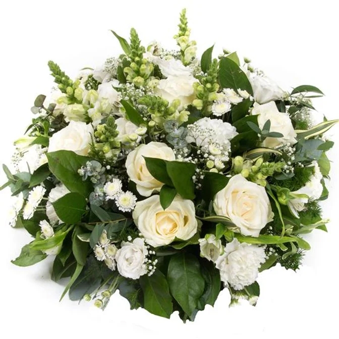 White Posy