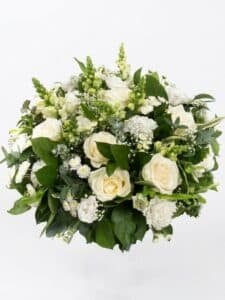 White Posy