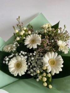 Germini Arrangement