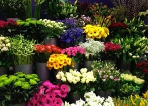 One Year's Supply of Flowers